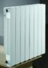 Aluminum Die Casting Radaitors/Radiator/Aluminum Radiator